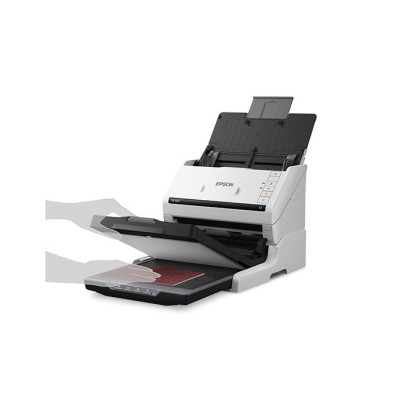 Epson WorkForce B11B261202 scanner Sheet-fed scanner 600 x 600 DPI A4 White